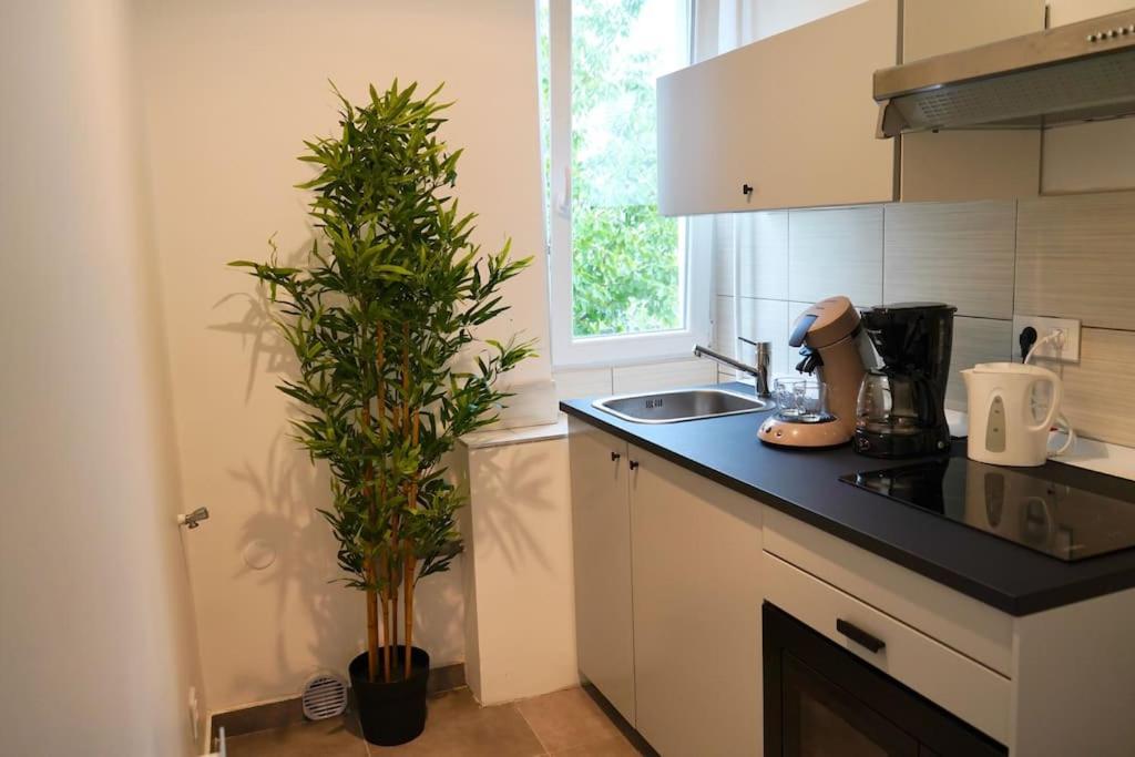 Rm-1 - Appartement F2 Au 1Er Etage Pour 1-3 Pers Mulhouse Luaran gambar